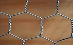 hexagonal wire mesh